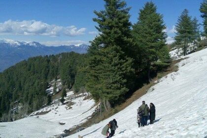 Picturesque winter scene, covered in snow & pine trees - hill stations near Udhampur