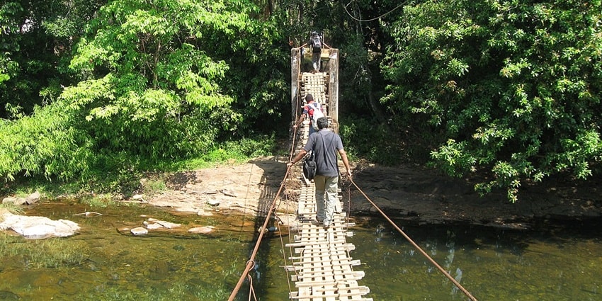 This sanctuary , with diverse flora and fauna, is one of the best places to visit near Vagamon.