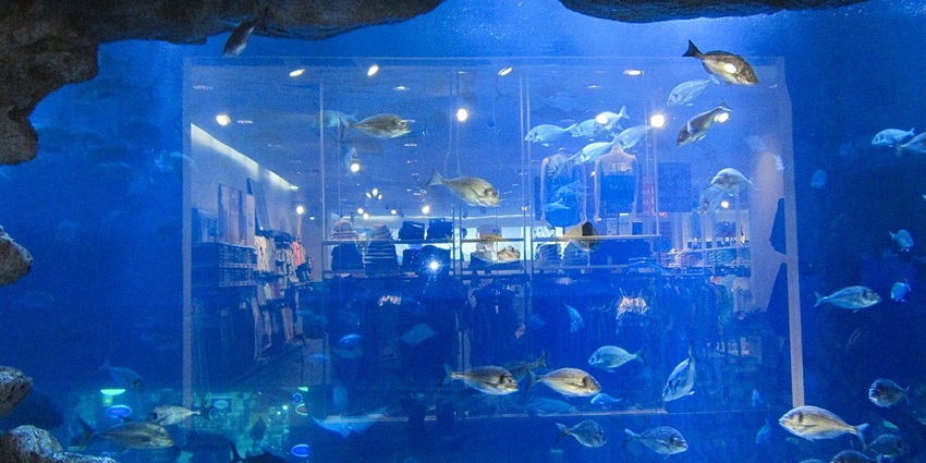 Explore the beautiful underwater Wonderland and Aquarium inside Dubai mall, UAE