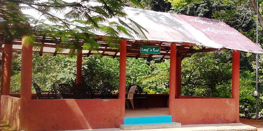 Meenmutty Falls near Vaduvanchal plunging through lush greenery and rocky cliffs.