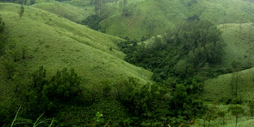 Picturesque views from the green lush forest of the Vagamon and its surrounding