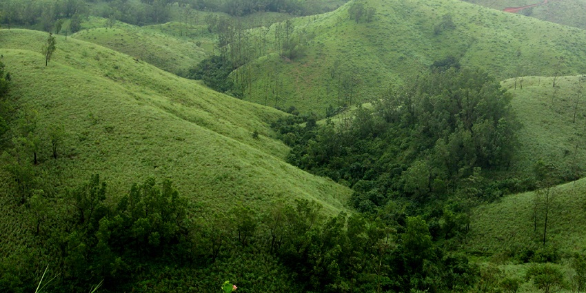 A lush green view of Vagamon, one of the best places to visit near Kochi within 200 km.