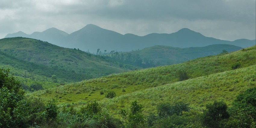 Aerial view of beautiful Vagamon, Hills covered in lush green forest, Kerala