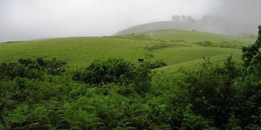 Vagamon provides one of the best paragliding experiences with a natural landscape.