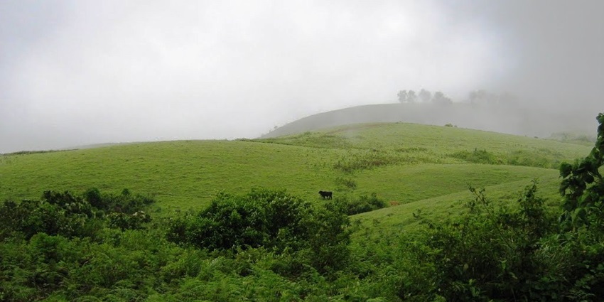 Witness the breathtaking view of Vagamon, one of the places to visit in Kerala, India.