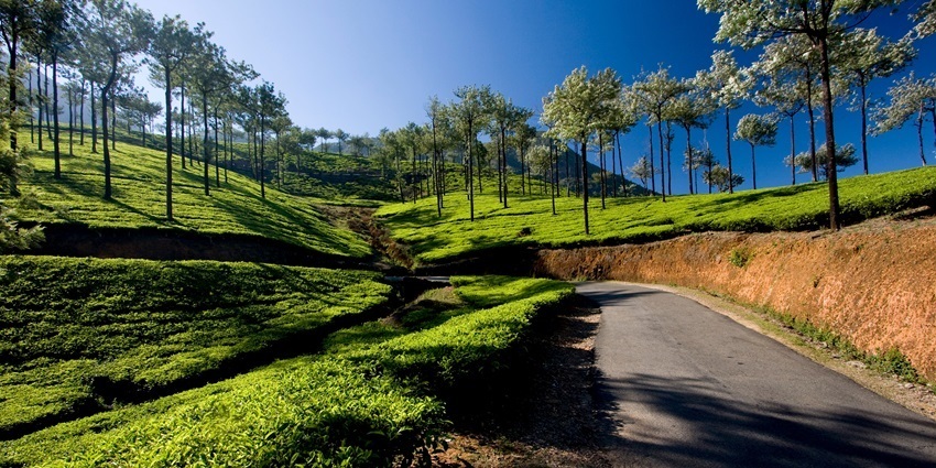 Green lush meadows of Vagamon are one of the best places to visit in summer in Kerala