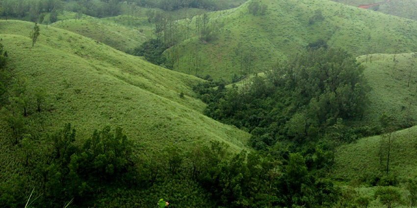 Plan a visit to the scenic Vagamon, which is one of the hill stations near Kozhikode.