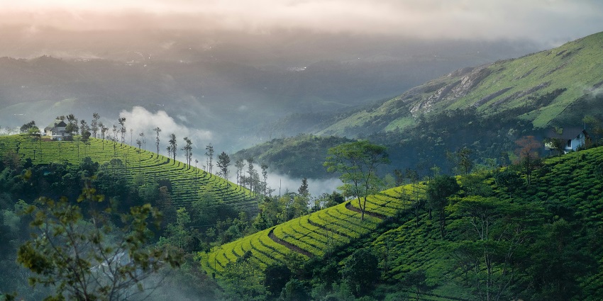 A breathtaking landscape of lush green hills and trees in Vagamon under soft clouds.