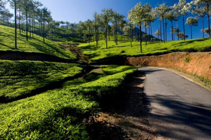 It’s the astonishing and peaceful aura of places to visit near Vagamon, making it worth-visiting.