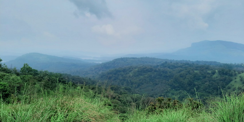 Scenic views of Vagamon Hill Covered in Fog - Tent Camping in Vagamon