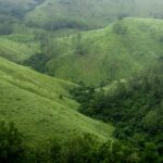 Experience serenity in this beautiful hill station, one of the things to do in Vagamon.