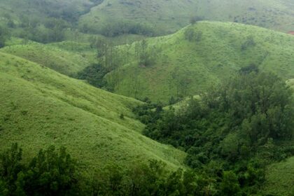 Experience serenity in this beautiful hill station, one of the things to do in Vagamon.