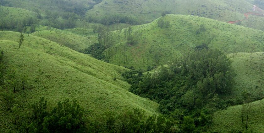 Experience serenity in this beautiful hill station, one of the things to do in Vagamon.