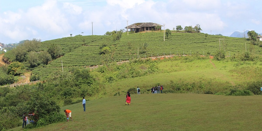 : With dense greenery and tranquil air, Vagamon Meadows has aesthetic appeal with serene flowers.