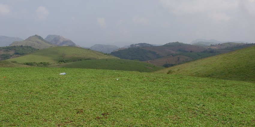 Relax and stroll through the lush green meadows, one of the best things to do in Vagamon.
