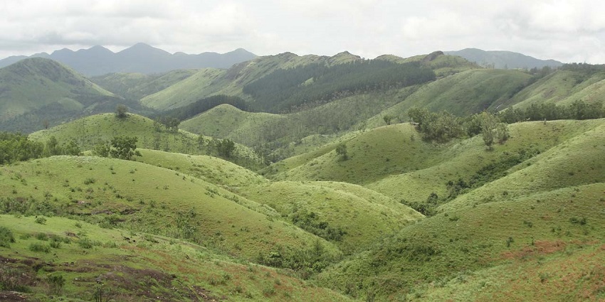 Soothing green meadows of Vagamon - Tent camping site in Vagamon