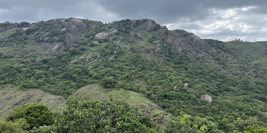 Verdant hills of Vagamon are perfect for a serene retreat away from the city life ruckus