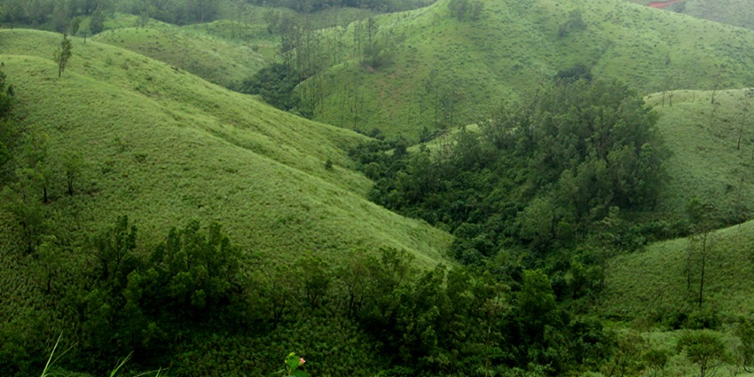 Enjoy the alluring locales of the Vagamon hills while on a holiday retreat to Kerala