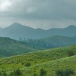 The Vagamon hills- one of the must-see places to visit in Kerala in february for trekkers