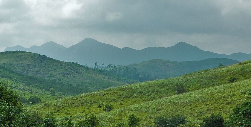 The Vagamon hills- one of the must-see places to visit in Kerala in february for trekkers