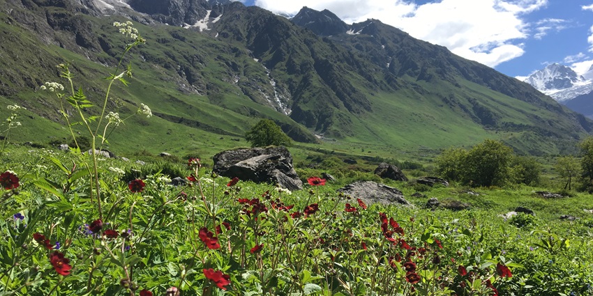 The valley, with 300+ flower species, is one of the great places to visit in June in India.