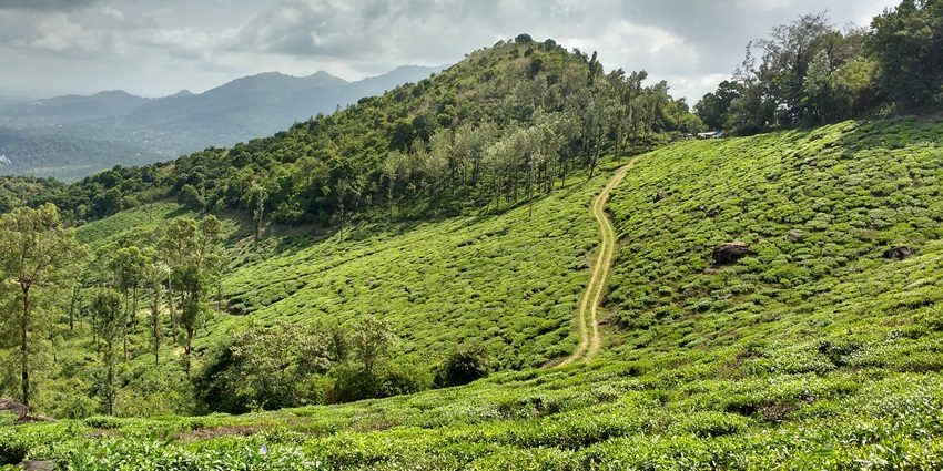 Steep valleys of Wayanad- one of the most adventurous places to visit in Kerala in December