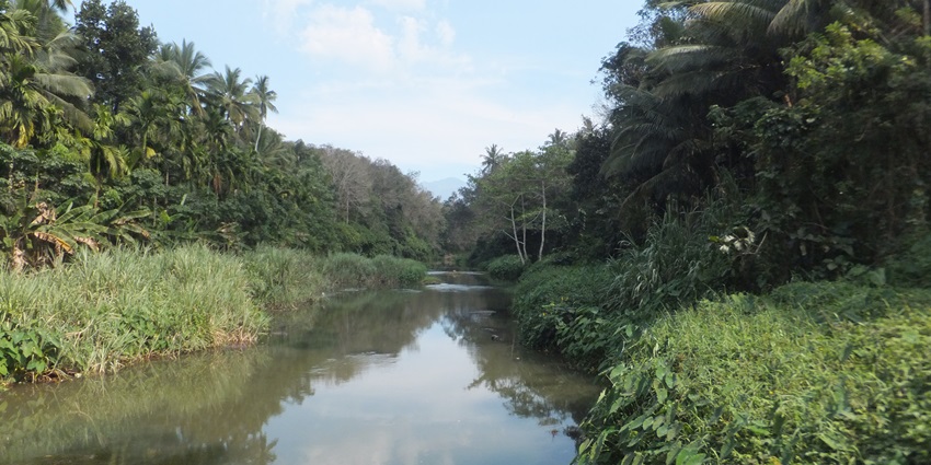 Stream of Kallar washing through its rocky shores amidst verdant and dense forest