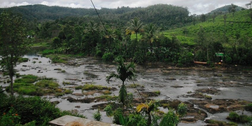 With rich natural preserves and culture, Vandiperiyar serves as one of the best places to visit in Gavi.