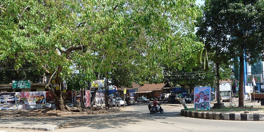 Sunny day in Varkala – one of the best places to visit near Trivandrum within 100 Km