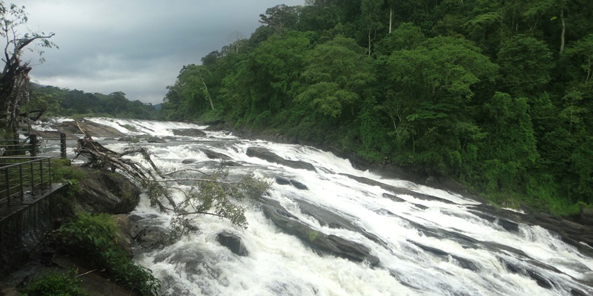 A mesmerising view of the gushing Vazhachal Waterfalls, a famous tourist attraction.