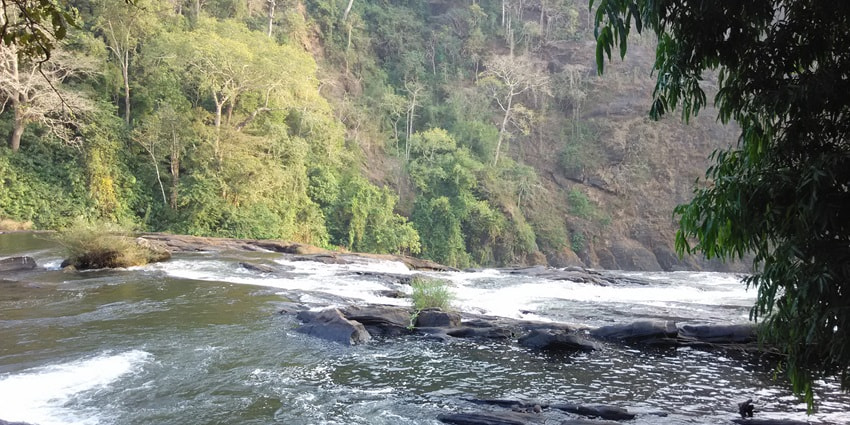 Vazhachal Waterfall is a must-visit place in Kerala for scenic and majestic views.