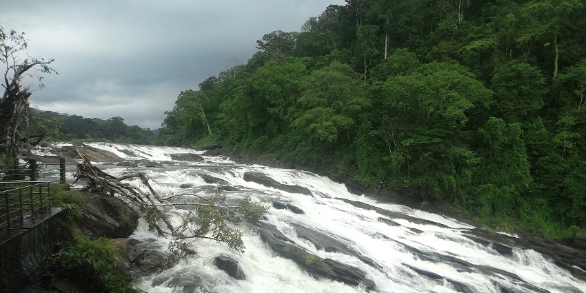 Vazhachal Waterfalls is one of the waterfalls in Ernakulam that are surrounded by lush flora