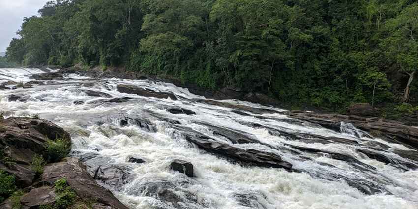 Powerful cascade amidst lush greenery - places to visit near Narangathode Waterfall