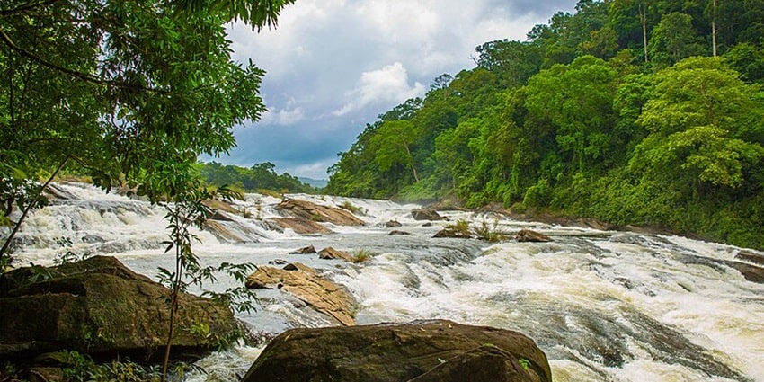 Vazhachal Waterfalls: One Of The Most Beautiful Places In Kerala - TripXL