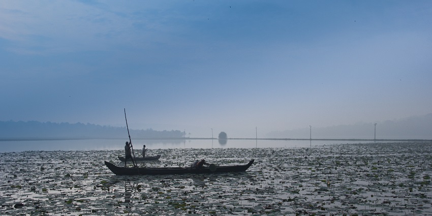 Witness the mesmerising views near the serene Vellayani Lake, located in Kerala.