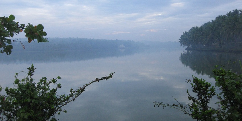 Scenic view of the Vellayani Lake, one of the places to visit in Trivandrum for couples.