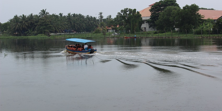 Exploring the quaint beauty of Vellayani Lake is one of the best things to do in Kovalam.