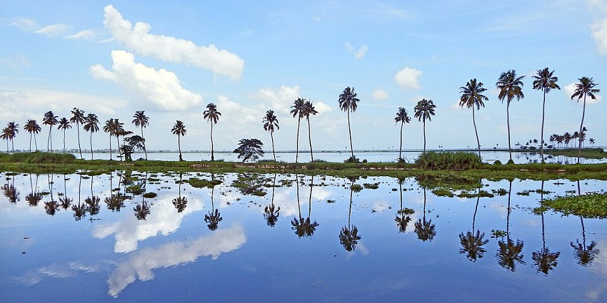 Visiting the beautiful Vembanad Lake is one of the best things to do in Kumarakom.
