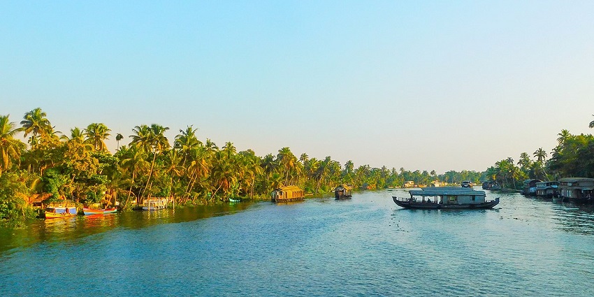 Vembanad Lake is one of the best places to visit around Bay Island Driftwood Museum.