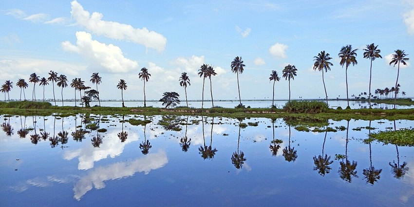 Tranquil Vembanad Lake and greenery around - places to visit in Alleppey for couples