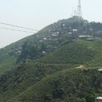 With a plethora of things to do in Kurseong, here is a marvellous experience awaiting you.