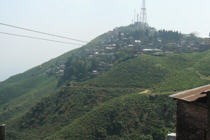 With a plethora of things to do in Kurseong, here is a marvellous experience awaiting you.