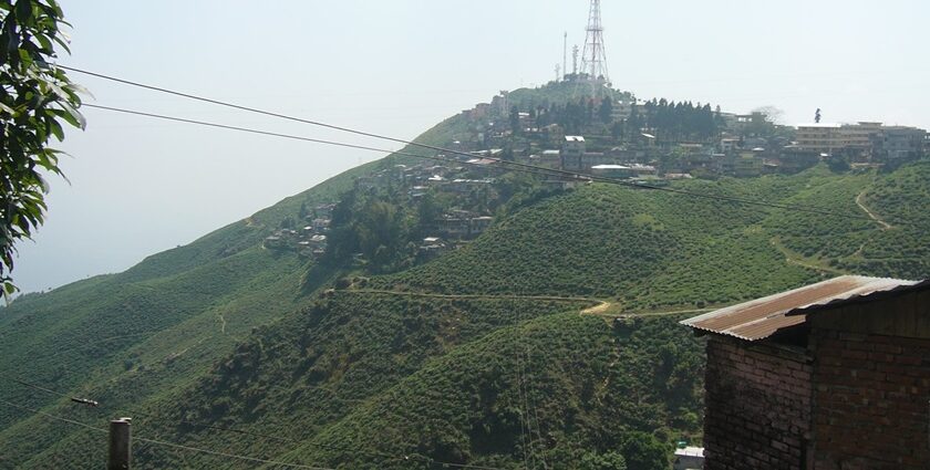 With a plethora of things to do in Kurseong, here is a marvellous experience awaiting you.