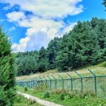 Dive into the emerald hues wandering around the fields of the Tral Wildlife Sanctuary