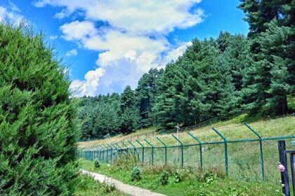 Dive into the emerald hues wandering around the fields of the Tral Wildlife Sanctuary