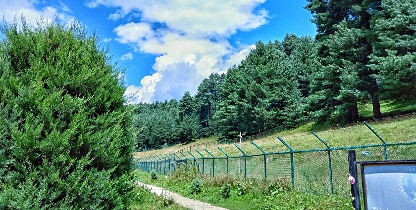 Dive into the emerald hues wandering around the fields of the Tral Wildlife Sanctuary