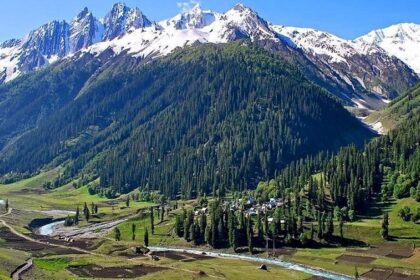 The beautiful view of snow-capped mountains amidst lush alpines in Sonmarg, Kashmir