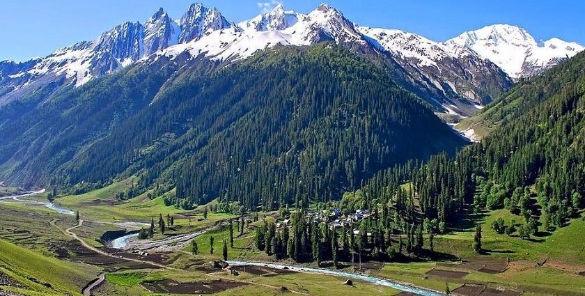 The beautiful view of snow-capped mountains amidst lush alpines in Sonmarg, Kashmir