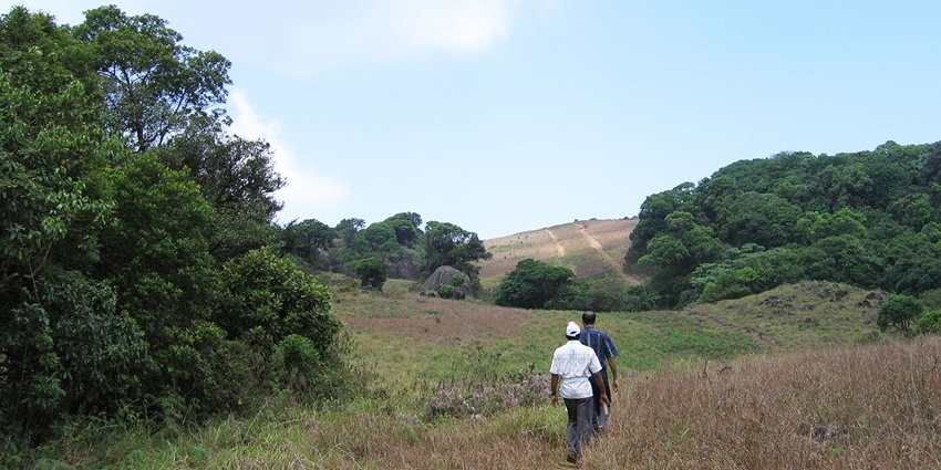 Pakshipathalam Bird Sanctuary: one of the best places to visit in Wayanad for nature lovers
