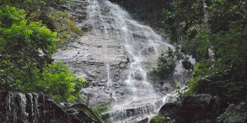 Cascading down lush green cliffs with the majestic Kanchenjunga peak in the backdrop.